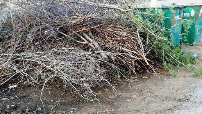 Мусорная война в Бузулуке: «Природа» готовит иск на бездействие администрации города, а жители тонут в отходах