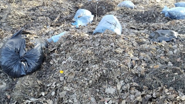 Регоператор «Природа»: являются ли растительные отходы коммунальными?