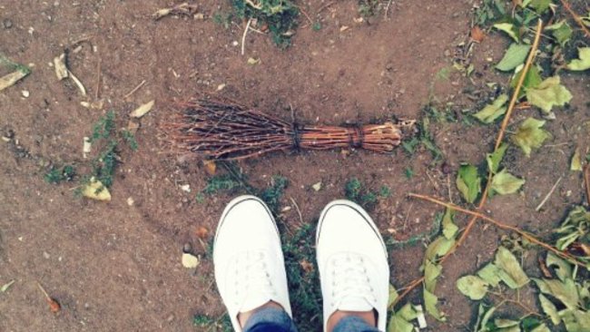 Кто обязан вывозить мусор после субботников?