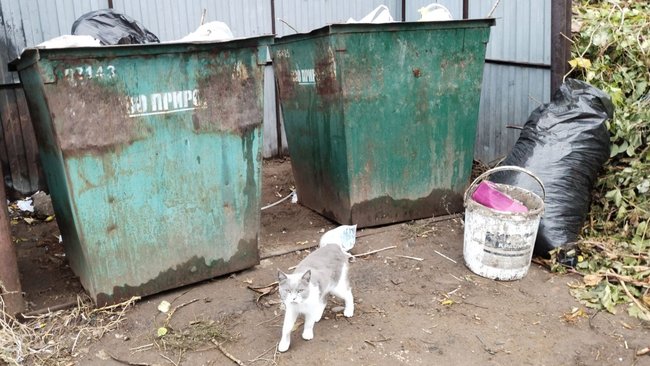 Еще около 10 млн рублей планирует потратить администрация Бузулука на места сбора ТКО