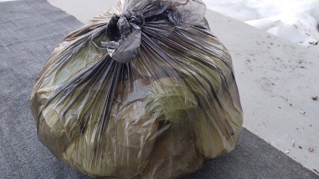 Стал известен график вывоза ТКО из частного сектора Бузулука