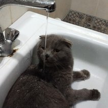 В Бузулуке сегодня проблемы с водоснабжением 