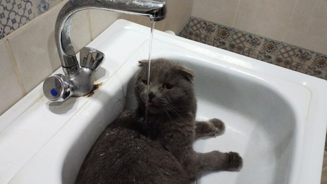 В Бузулуке сегодня проблемы с водоснабжением 