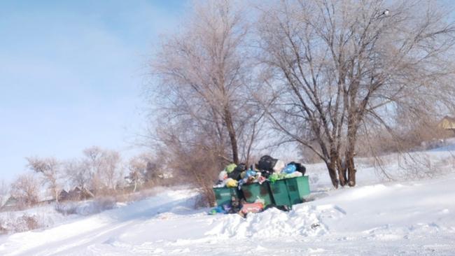 Радионова призывает регоператоров углубиться в решение 
